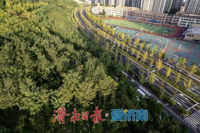 秋色斑斓，活力盎然