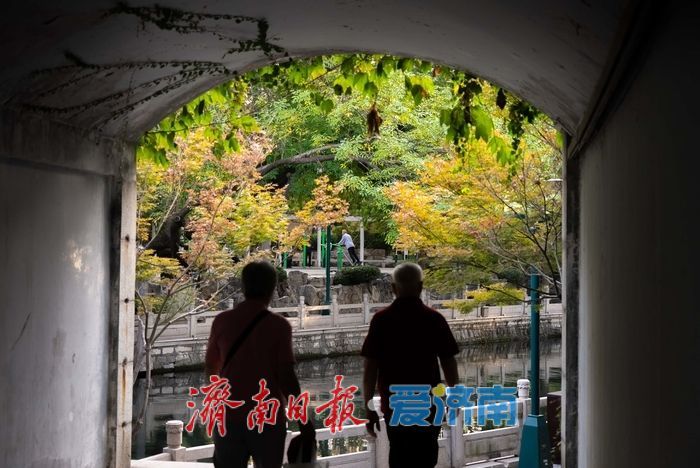 护城河畔秋色正好，市民乐享泉畔慢生活