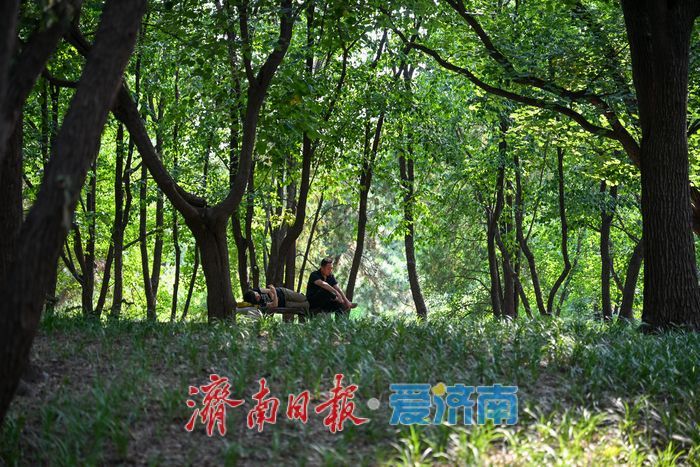 一年四季 泉在济南丨步道漫步树荫休憩 泉城公园成避暑休闲好去处