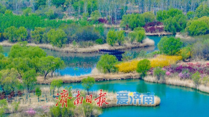 一年四季 泉在济南丨泉城晴空万里 济西湿地焕生机