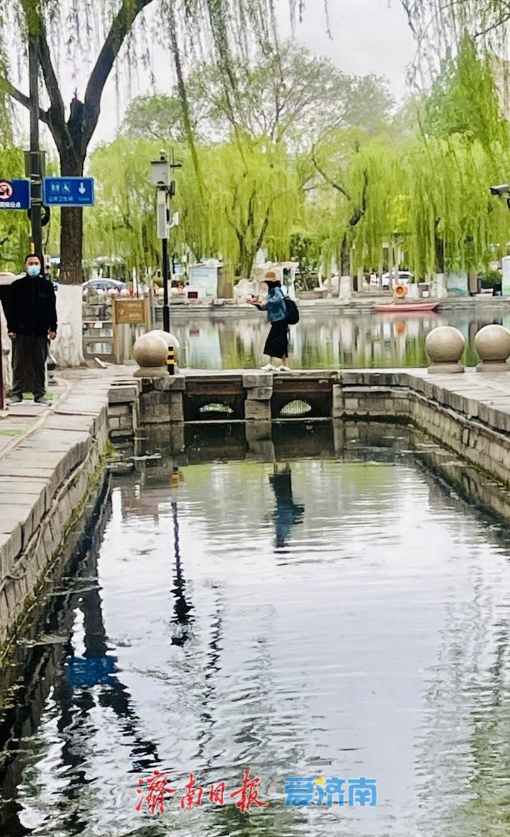 一年四季 泉在济南丨泉城春深处 晴波映古街