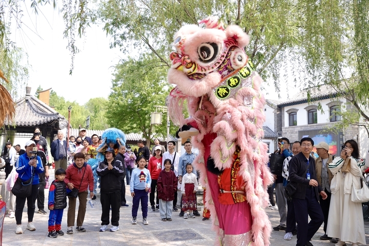 “泉”在济南过五一｜百花洲重启观光迎来首个周末 游客争睹舞狮表演讨彩头