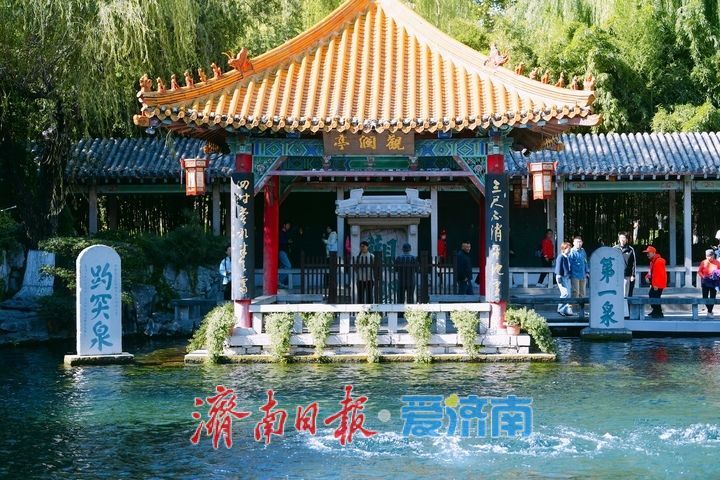 趵突流芳·菊绘华章，济南市第47届趵突泉金秋菊展加载进度90%！