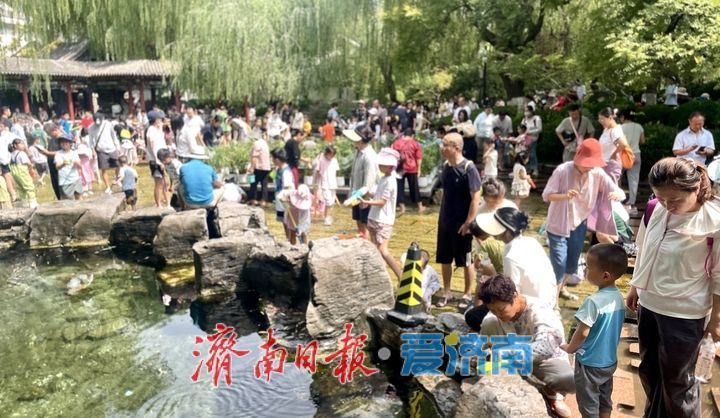 一年四季 泉在济南丨济南五龙潭清泉石上流 奏响夏日清凉曲