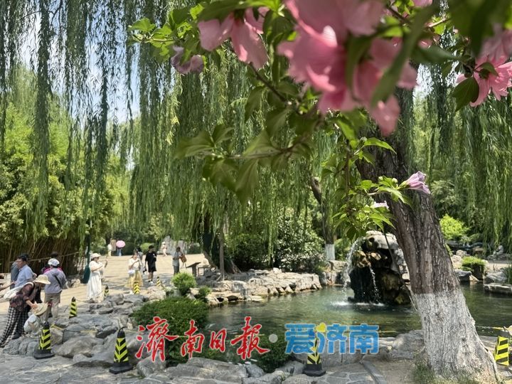 趵突泉水位稳守29米线 月牙飞瀑持续在线喷势放缓