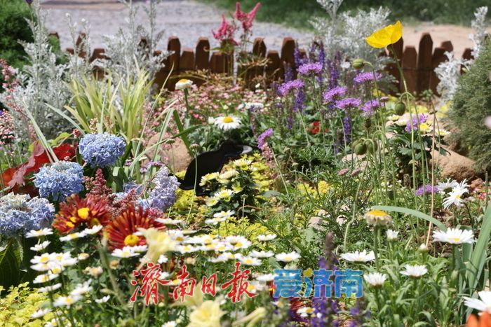 繁花映老街 上新街老建筑旁绘就油画美景