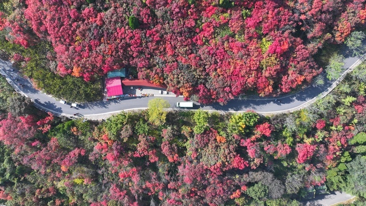 秋色绝佳观赏地红叶谷，拍照超级出片，非常值得一去