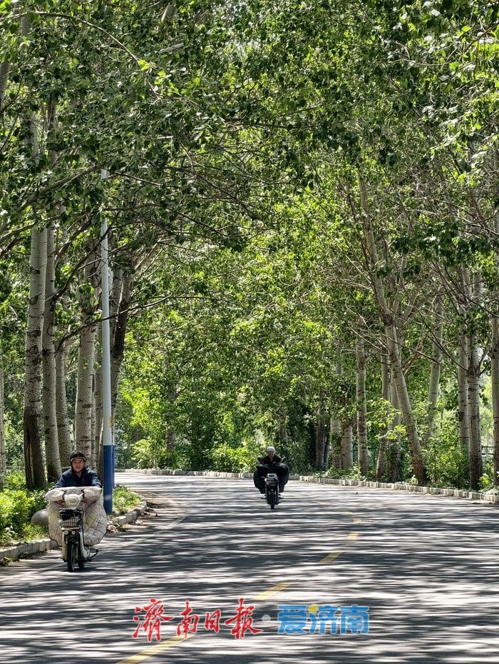 初夏穿行小清河北路，误入城市版“绿野仙踪”