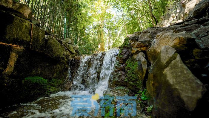 “滴水之恩当以涌泉相报”历史典故竟出自济南南部山区