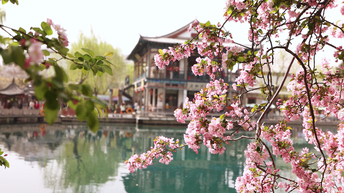 “醉”美五龙潭