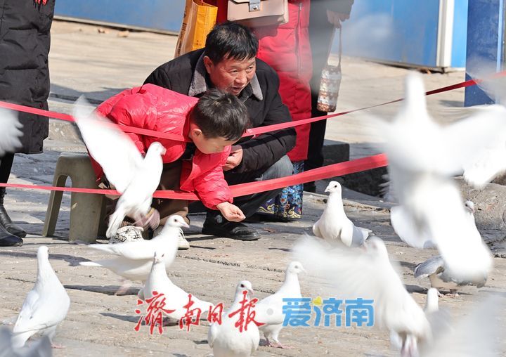 泉城气温回升暖意浓