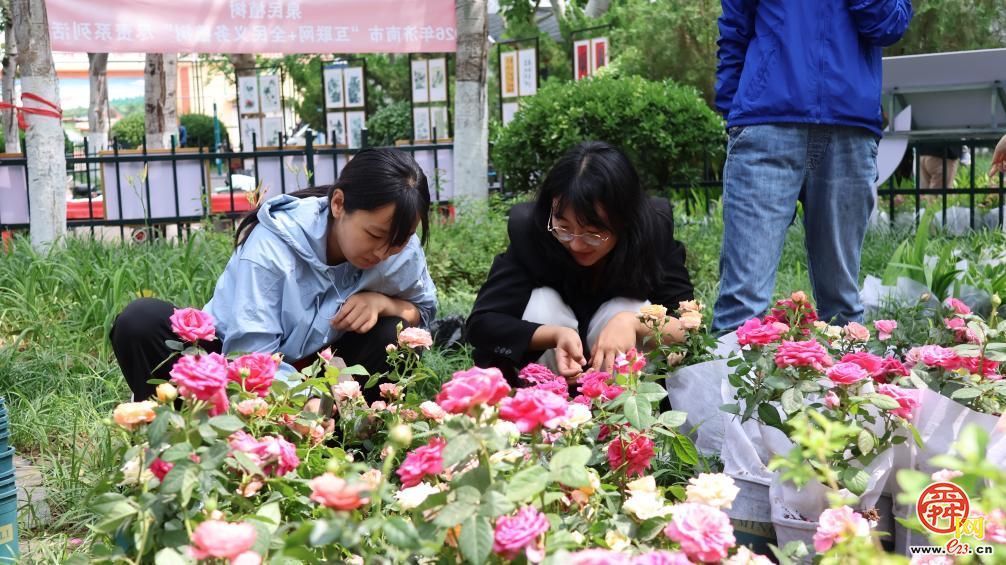 “植绿尽责 共建共享”｜济南开展“全民义务植树+共建花园”尽责活动