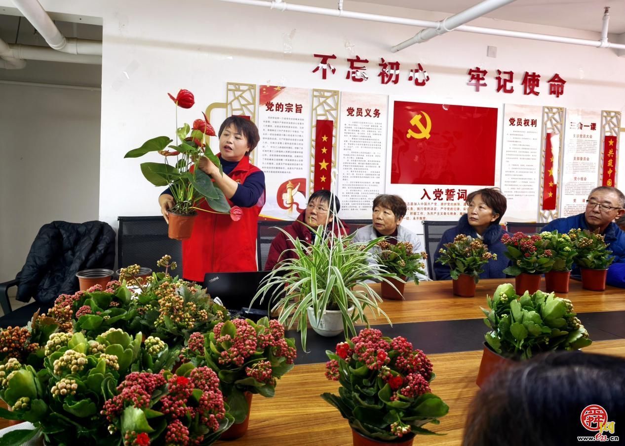 “年宵花里迎新春” 济南园·林惠民行年宵花卉养护科普活动 走进高新区舜华路街道舜信社区