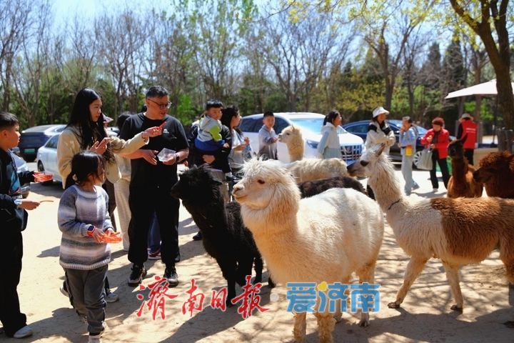 提前剧透｜济南野生动物世界马戏嘉年华重磅升级，承包你五一假期的欢乐！
