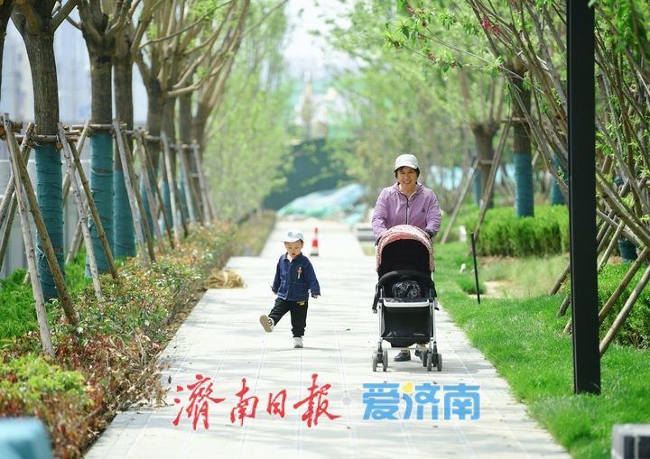 打造四季有景滨河绿廊，东泺河综合整治工程6月底完工