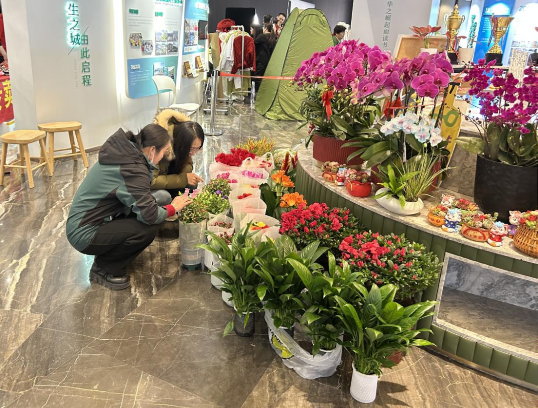 逛花市，迎新年｜花香满泉城 年味入万家 济南年宵花市进社区进公园活动拉开序幕