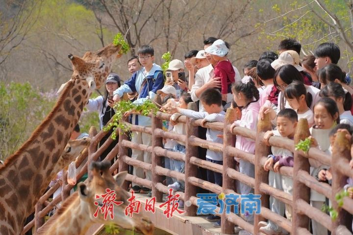 提前剧透｜济南野生动物世界马戏嘉年华重磅升级，承包你五一假期的欢乐！