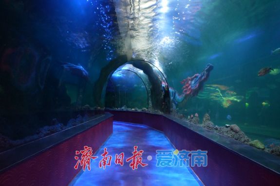 大明湖“明湖龙宫”焕新亮相，解锁雨荷IP沉浸式新体验