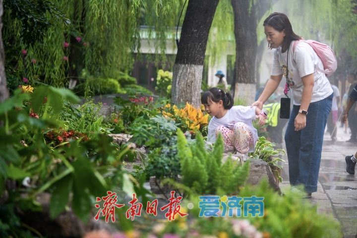 清风携水雾，景致再焕新！趵突泉解锁夏日泉水纳凉新体验
