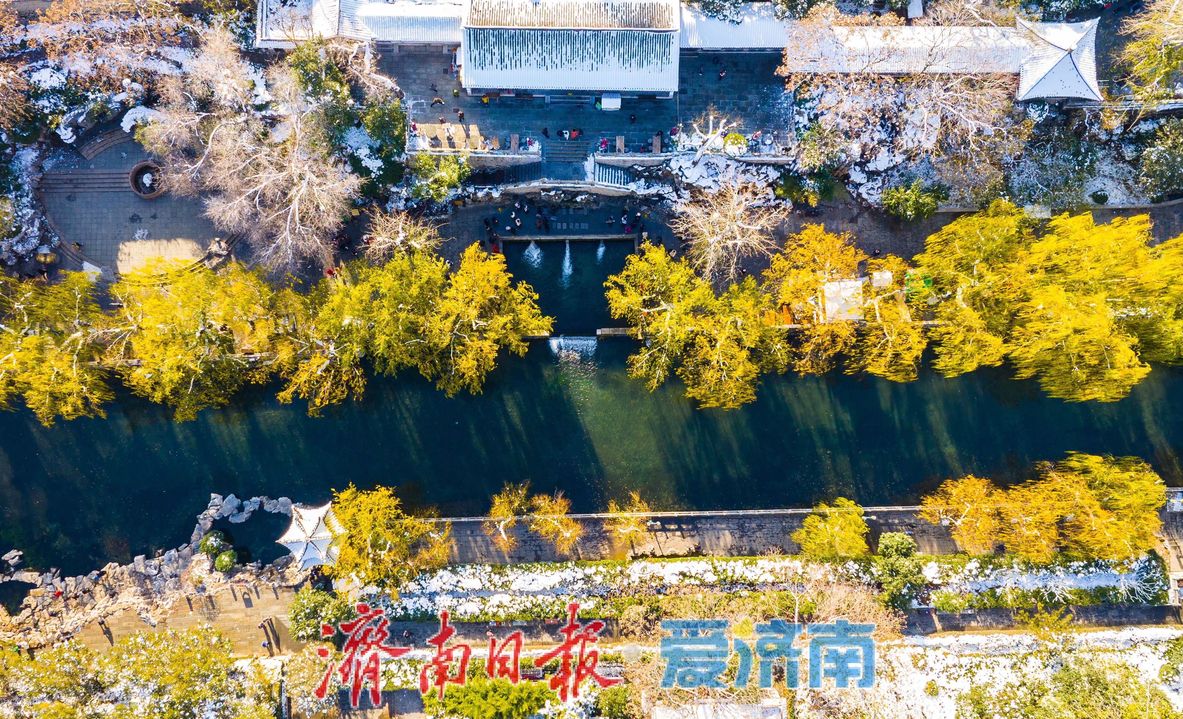 银装素裹环碧水 雪后泉城入画来