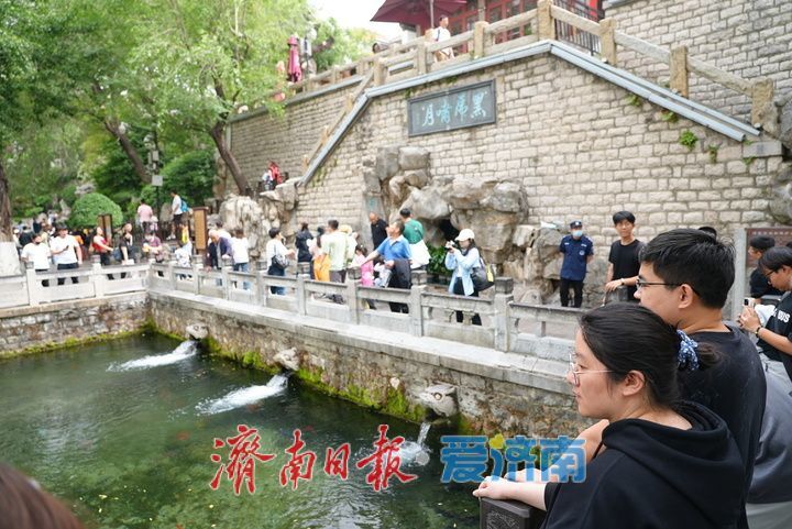 一年四季 泉在济南｜雨润泉欢 假期赏泉醉游人 