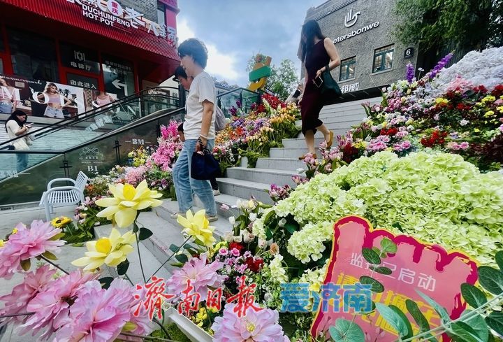闯入现实版莫奈花园！老商埠“花海楼梯”浪漫值拉满