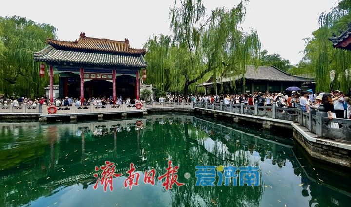 一年四季 泉在济南｜雨后趵突泉水位回升 泉水欢腾引游客