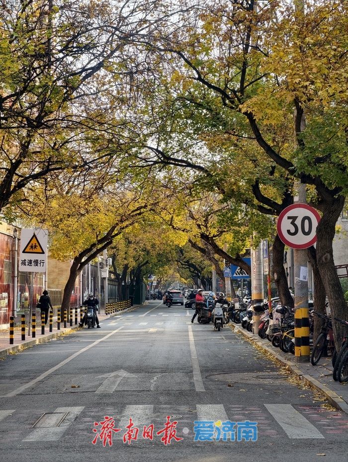 一年四季 泉在济南丨老商埠的冬日“限定款”！光影交织，邂逅浪漫美学秘境
