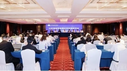 这场年会解锁未成年人犯罪治理“全攻略”