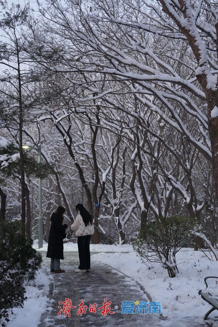 初雪勾勒“冰雪秘境” 泉城公园变身冬日热门打卡地