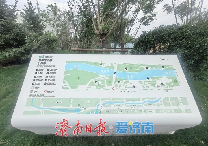 项目强省会｜综合提升换新颜，济南杨家河公园部分区域向市民开放