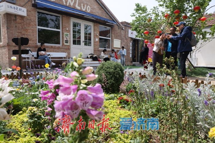 繁花映老街 上新街老建筑旁绘就油画美景