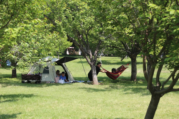 野餐、派对、音乐会……来济南吧，享受“草坪自由”