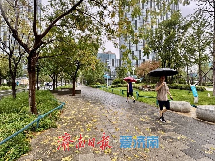 一年四季 泉在济南丨秋雨来袭，降温将至