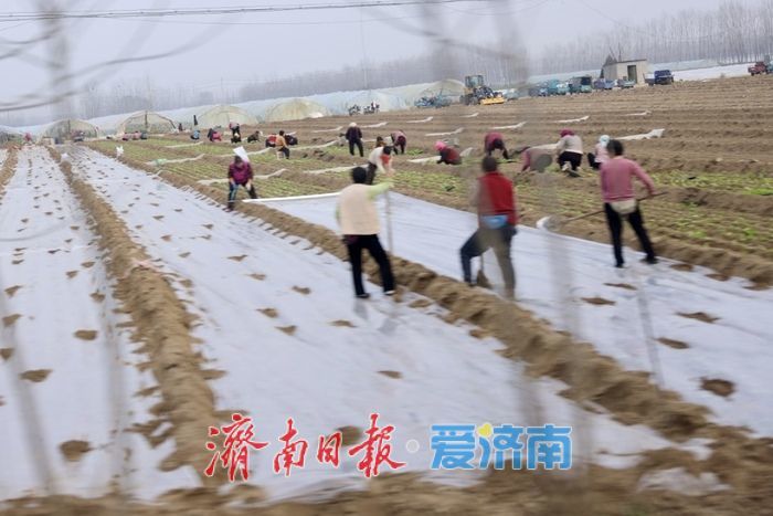 春雨润田农事忙