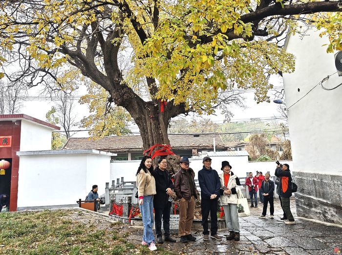 “守护百年古树 定格美丽乡愁” 济南古树乡村采风纪实