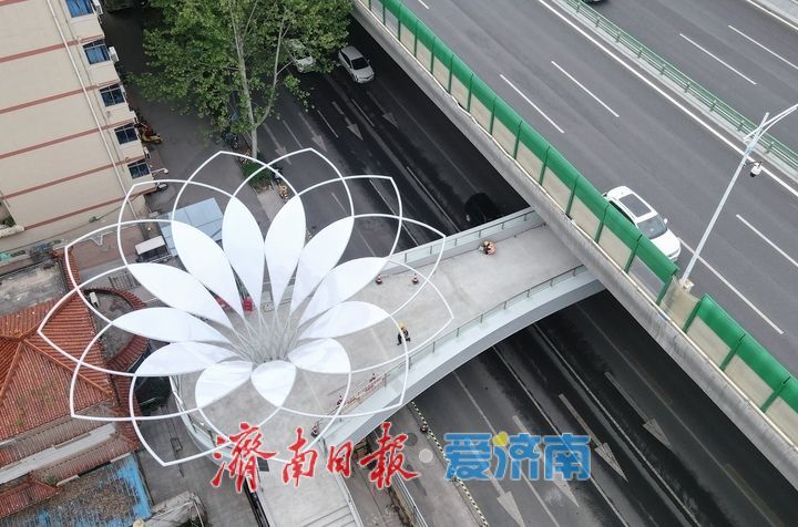 项目强省会｜“玉兰花”装饰造型亮相，二环东路新建过街天桥别具风格