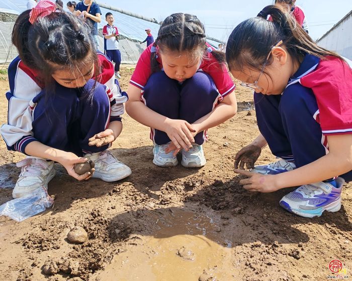 脚下踩泥土 心中藏成长——济南市天桥区枫景小学开启“‘玉’见小美好 节约大行动”主题实践课程