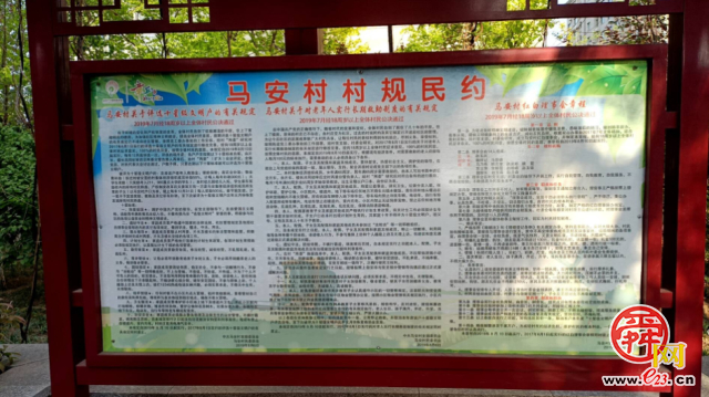 双山街道：移风易俗领风尚 文明新风润万家