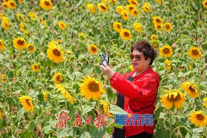 一年四季 泉在济南丨千年雄关花海盛放，古长城焕发新生机