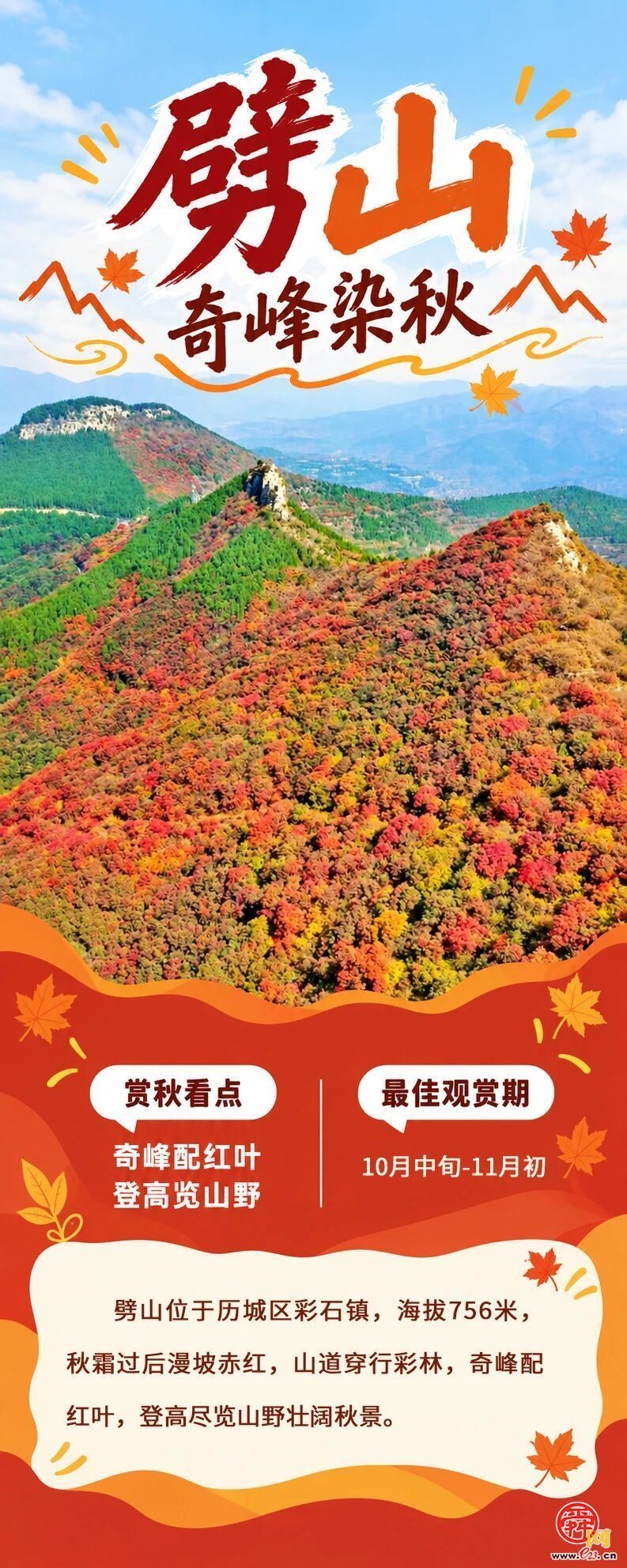 现在出发正当时！泉城红叶迎来最佳观赏期