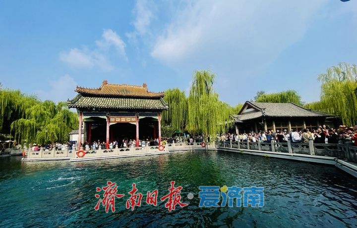 秋雨初歇，来趵突泉邂逅一城秋韵