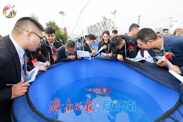 第六届名优锦鲤大赛在济启幕