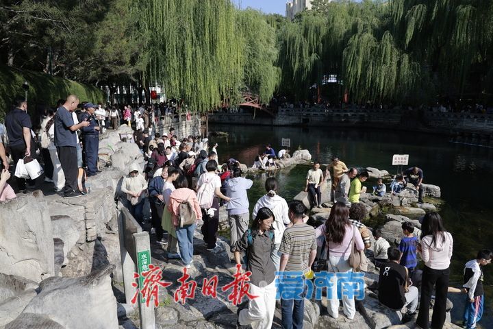 碧水垂柳伴画舫 古桥泉畔聚游人