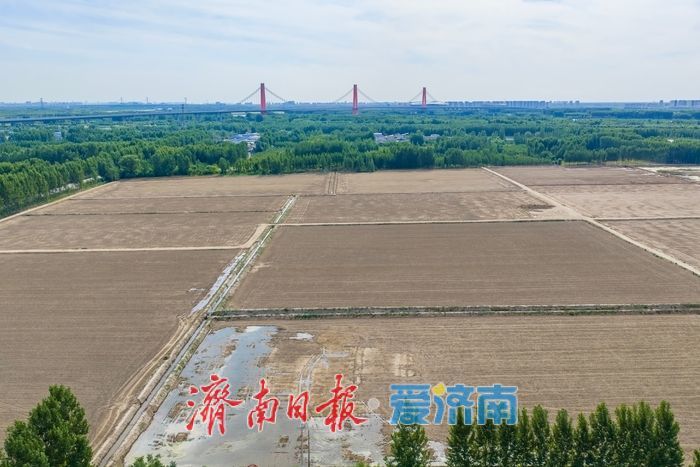 时隔12年，黄河水回来了！遥墙街道引黄灌溉工程通水