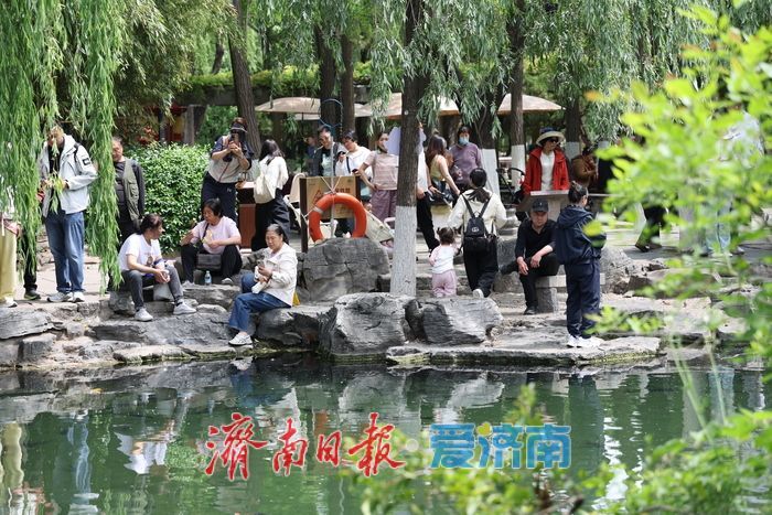 五一假期临近，济南泉水游提前升温