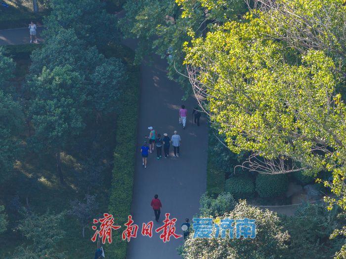 一年四季 泉在济南｜城芯林海秋意浓，济南百花公园扮靓泉城宜居空间