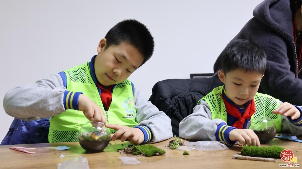 指尖上的绿意！济南园·林惠民行带你DIY专属“迷你森林”