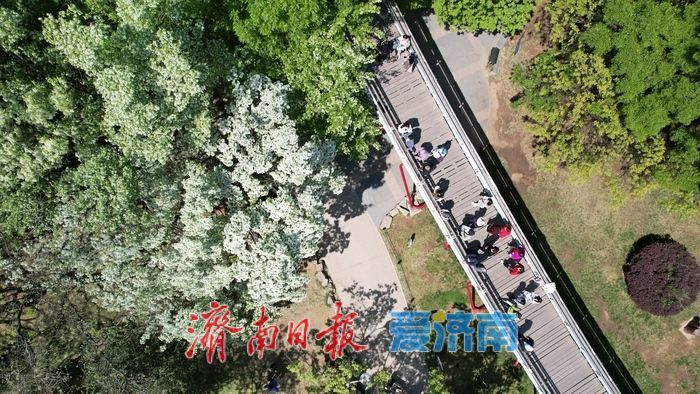 泉城公园繁花绘就 “春日经济”新盛景