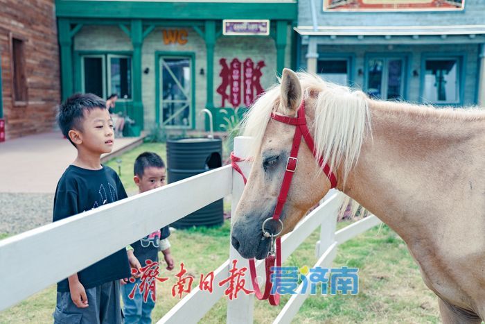 济南“小加州”即将上线 马山百里农场邂逅西部旷野风情